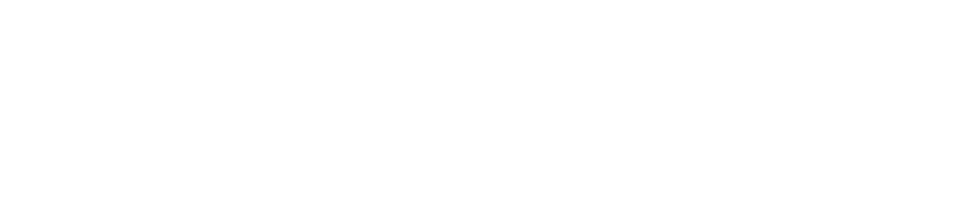 備用｜新創策略 CENTRON